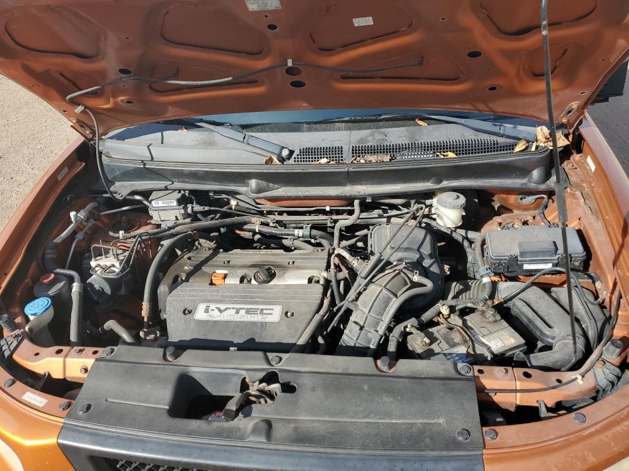 2006 Honda Element Ex VIN: 5J6YH28786L013864 Lot: 87228615