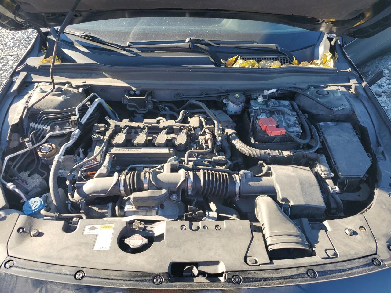 2019 Honda Accord Exl VIN: 1HGCV1F58KA164893 Lot: 85886475