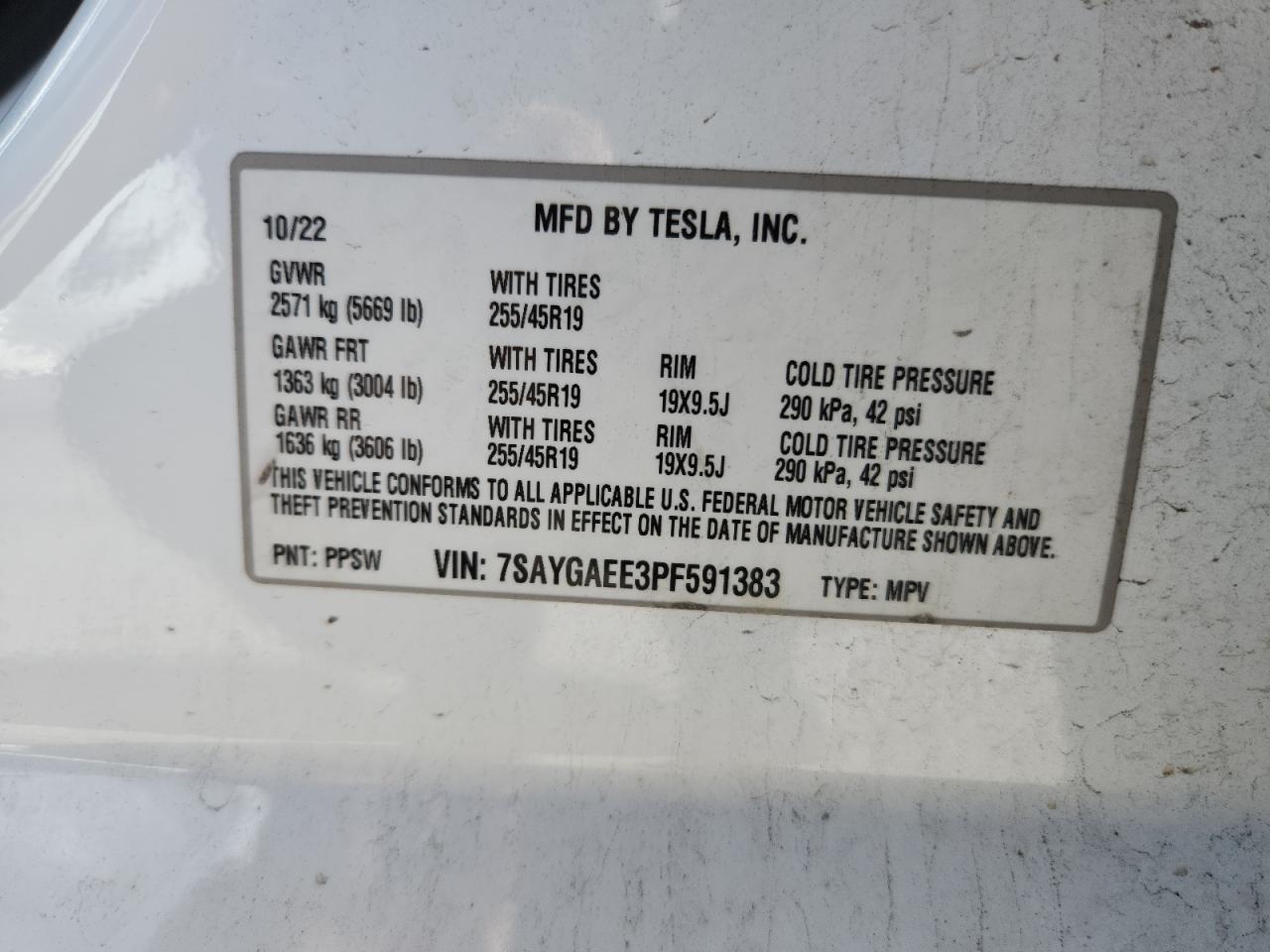 2023 Tesla Model Y VIN: 7SAYGAEE3PF591383 Lot: 91052325