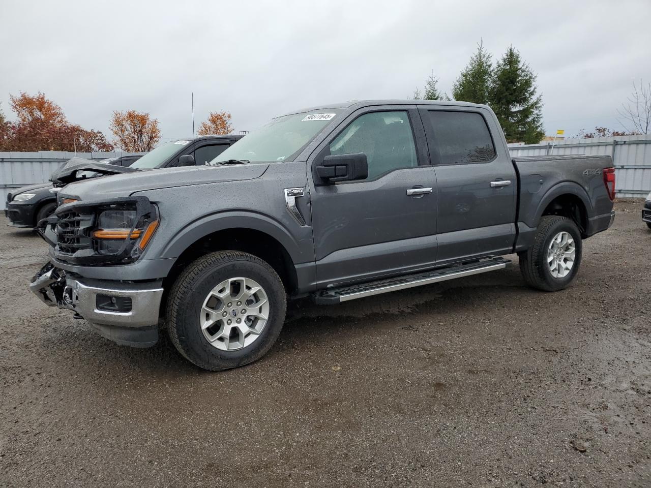 2025 Ford F150 Xlt