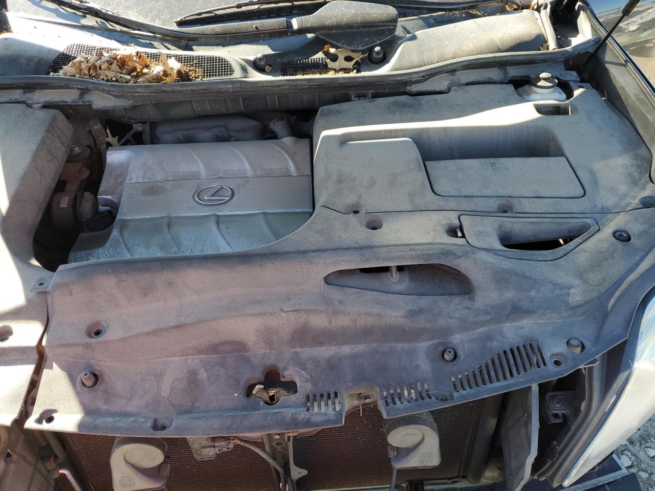 2010 Lexus Rx 350 VIN: 2T2BK1BAXAC009256 Lot: 85327395