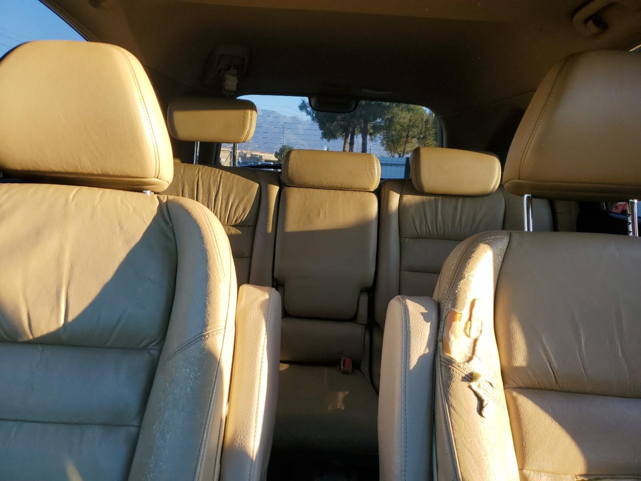 2007 Honda Cr-V Exl VIN: JHLRE38757C023278 Lot: 84995395