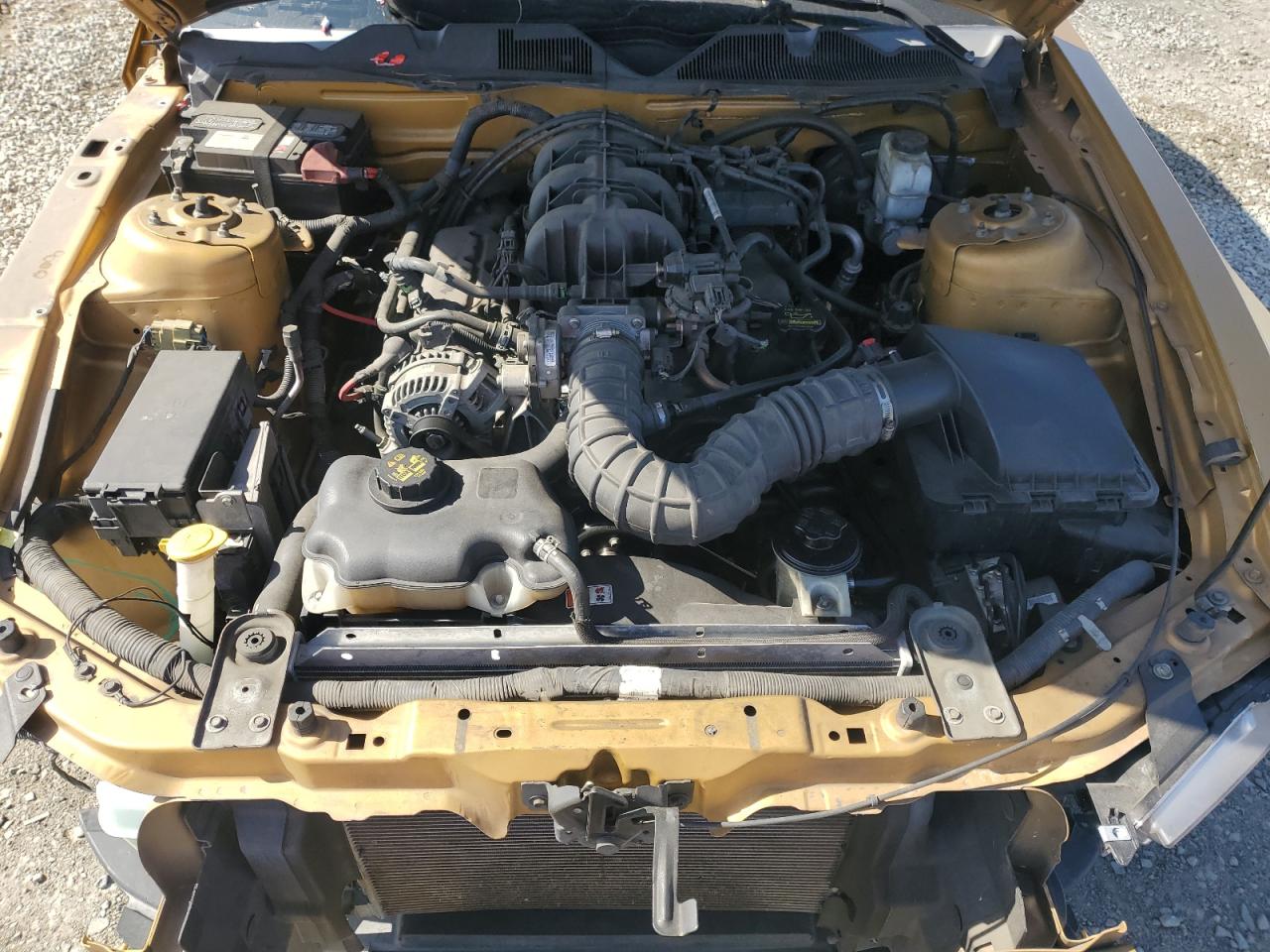 2010 Ford Mustang VIN: 1ZVBP8ENXA5174120 Lot: 83834105