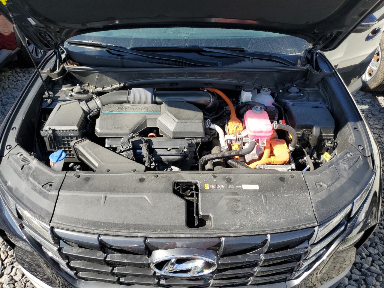 2024 Hyundai Tucson Sel Convenience VIN: KM8JCCD19RU238687 Lot: 83862185