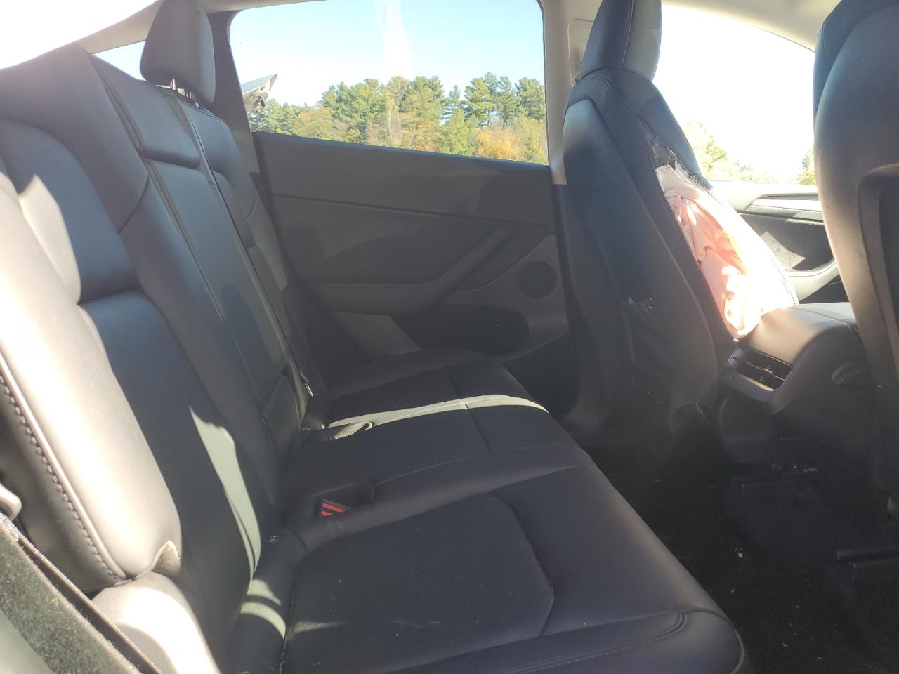 2023 Tesla Model Y VIN: 7SAYGDEE5PF851493 Lot: 87118245