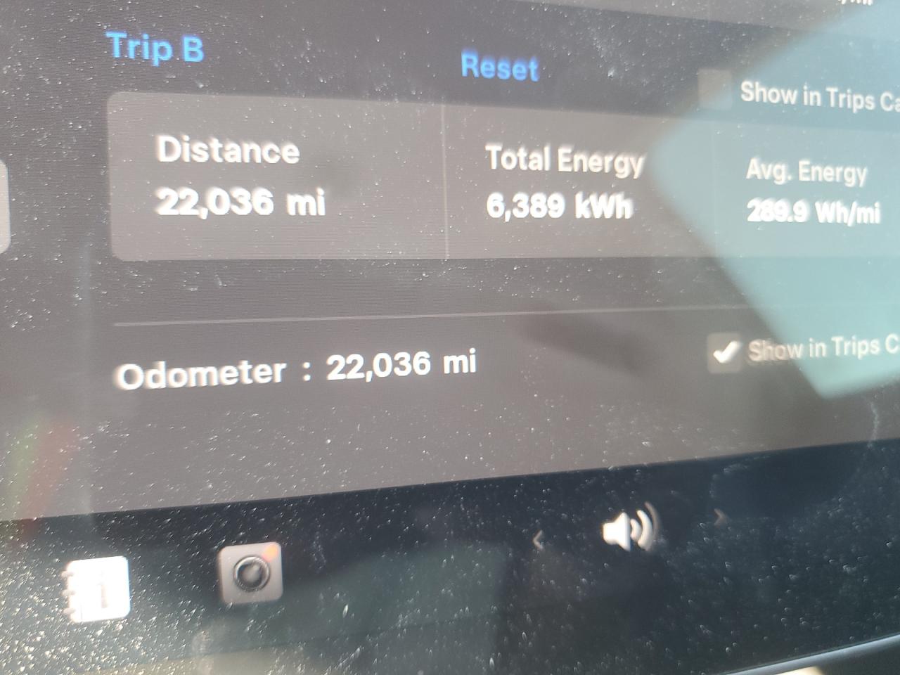 2023 Tesla Model Y VIN: 7SAYGDED9PF947604 Lot: 82488515