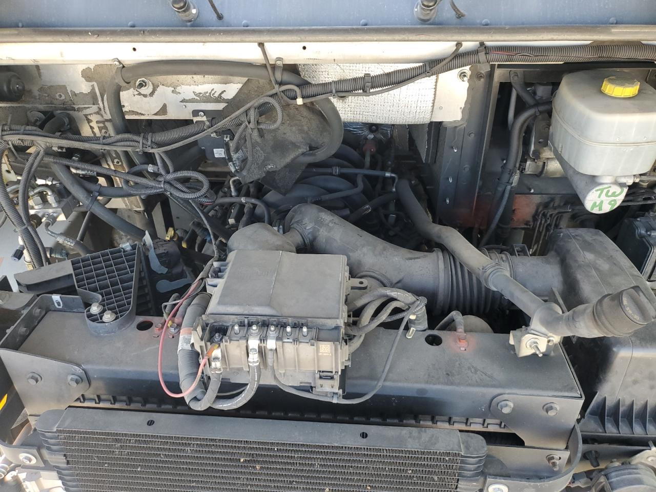 Фото: 1F65F5KN3L0A05999