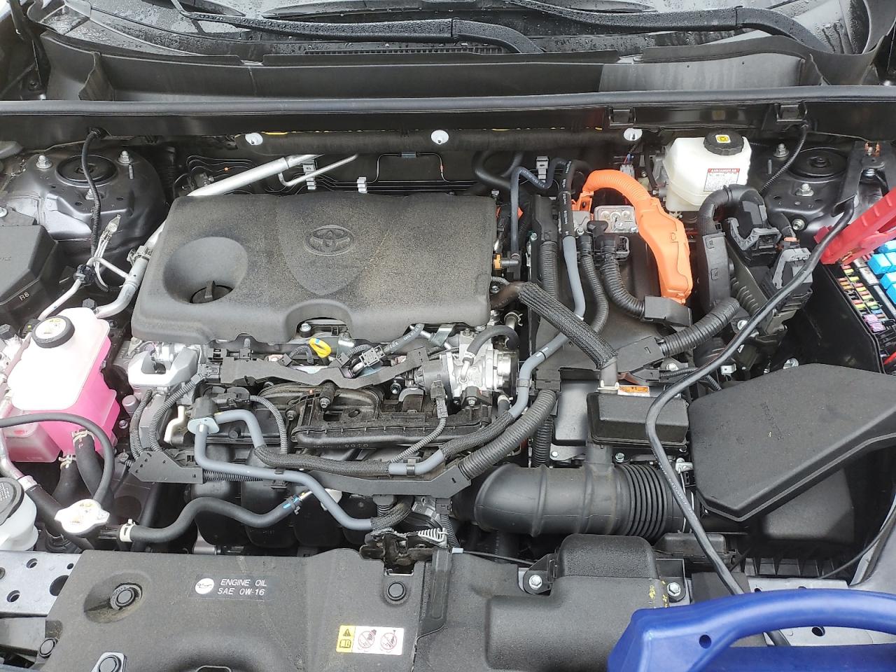 2024 Toyota Rav4 Xle VIN: JTMRWRFV0RD257954 Lot: 82190435