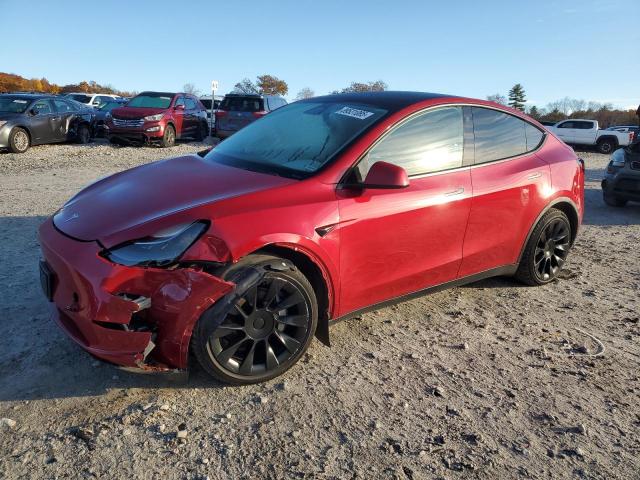 TESLA MODEL Y 2021