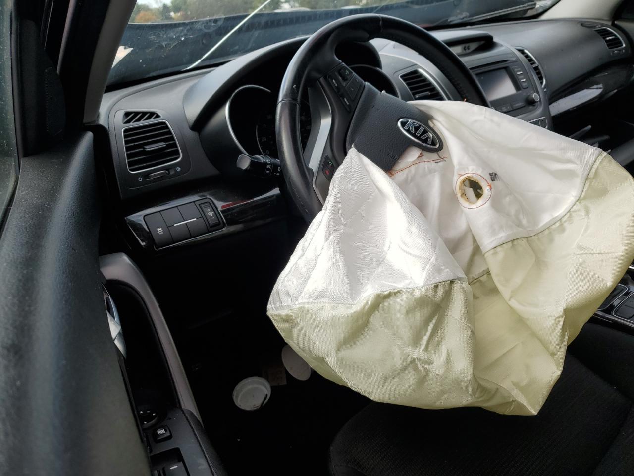 2014 Kia Sorento Lx VIN: 5XYKT3A62EG436659 Lot: 86297435