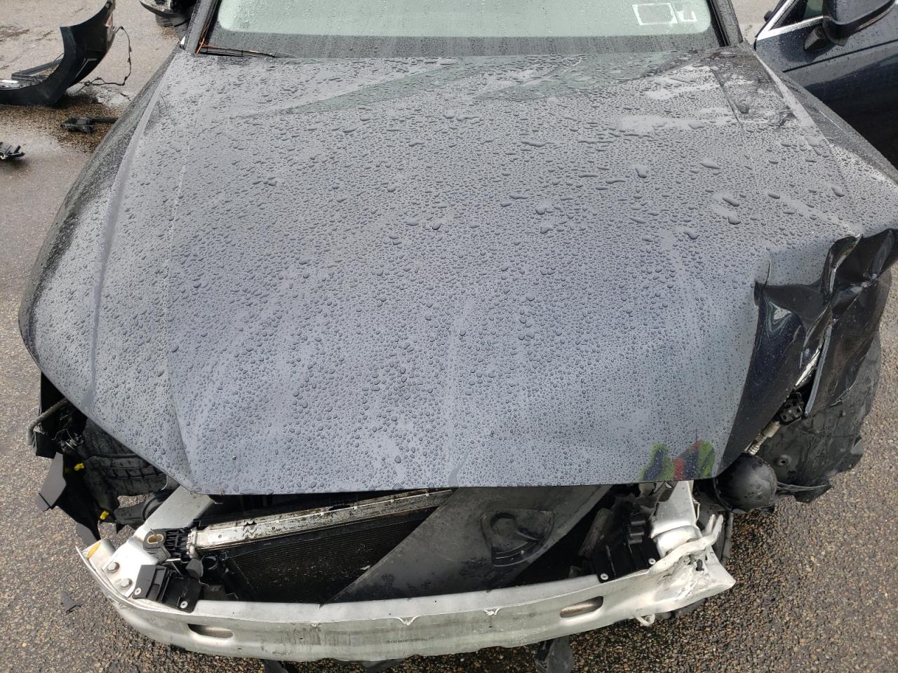 2017 Audi A4 Premium Plus VIN: WAUENAF4XHN001983 Lot: 69687675