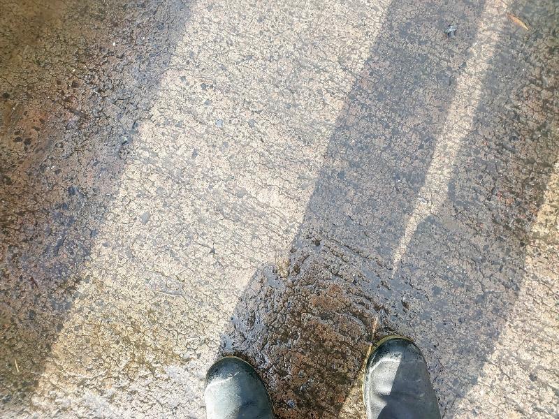 2011 BMW 3 SERIES 320D [184] M SPORT 4DR