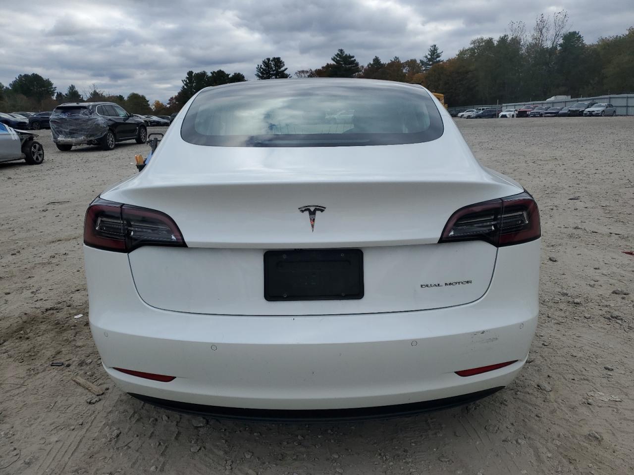 2019 Tesla Model 3 VIN: 5YJ3E1EB9KF437000 Lot: 87029755