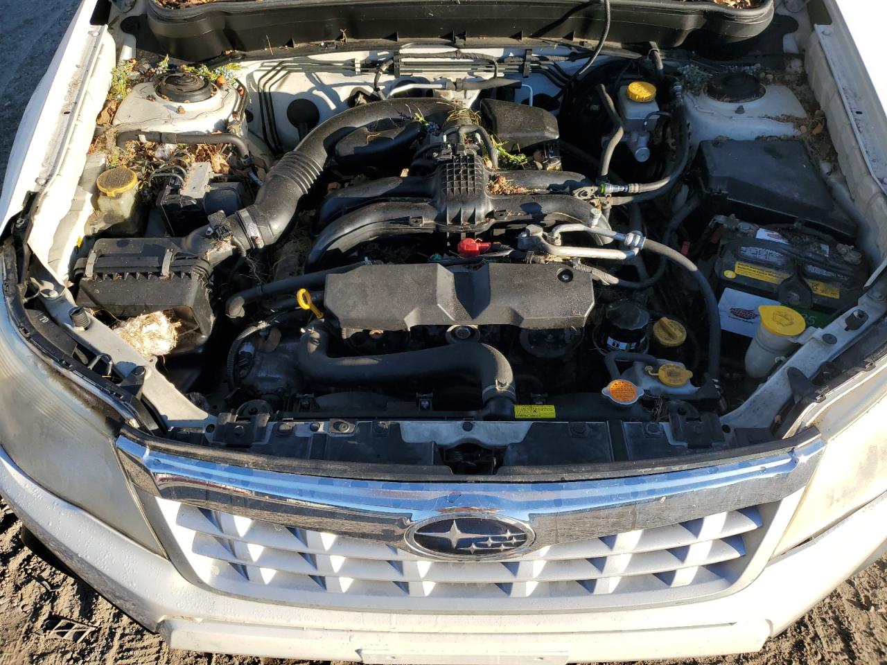 2011 Subaru Forester 2.5X VIN: JF2SHBBC9BH713876 Lot: 82521355