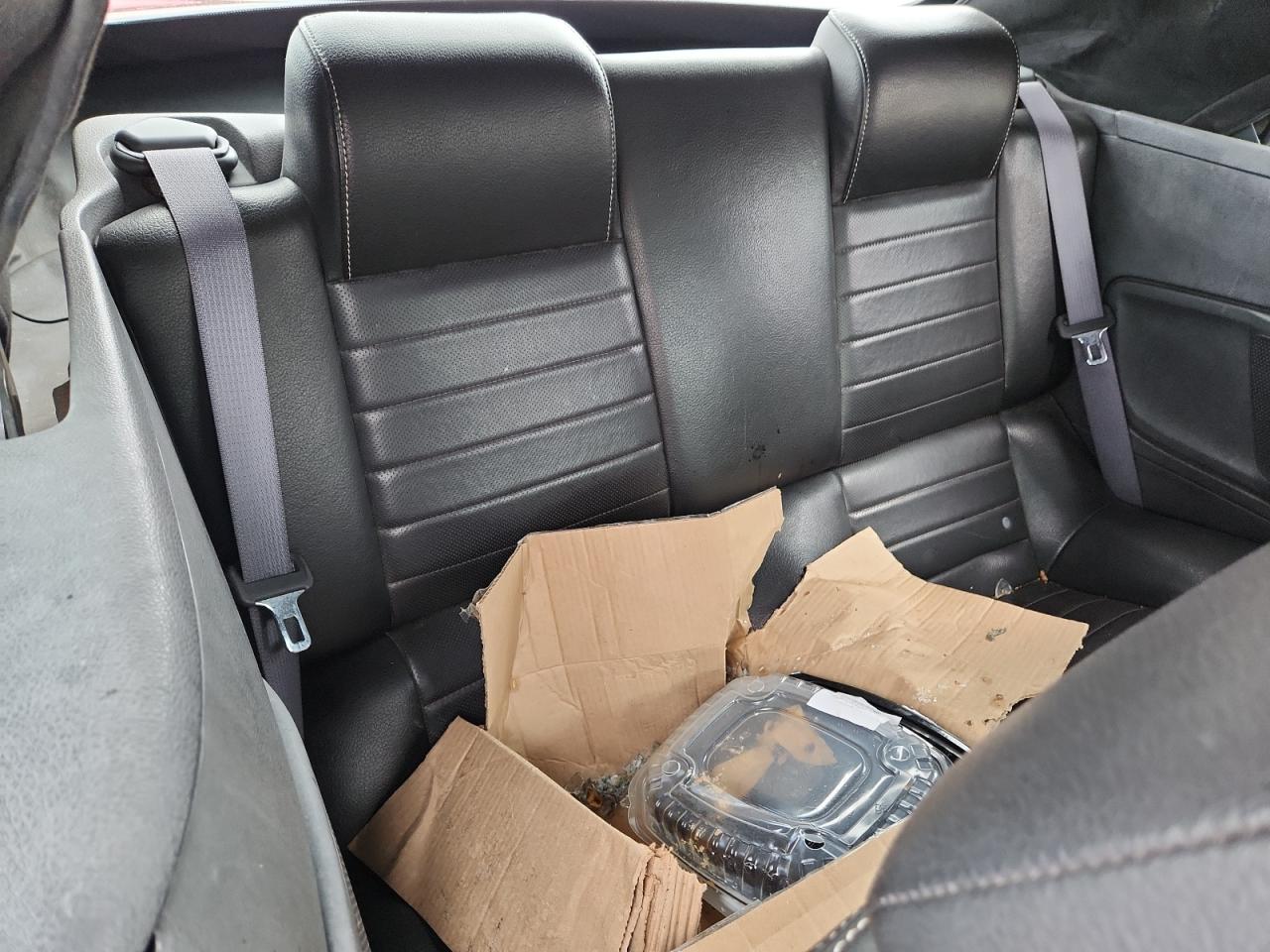 2010 Ford Mustang Gt VIN: 1ZVBP8FH1A5141158 Lot: 82261335