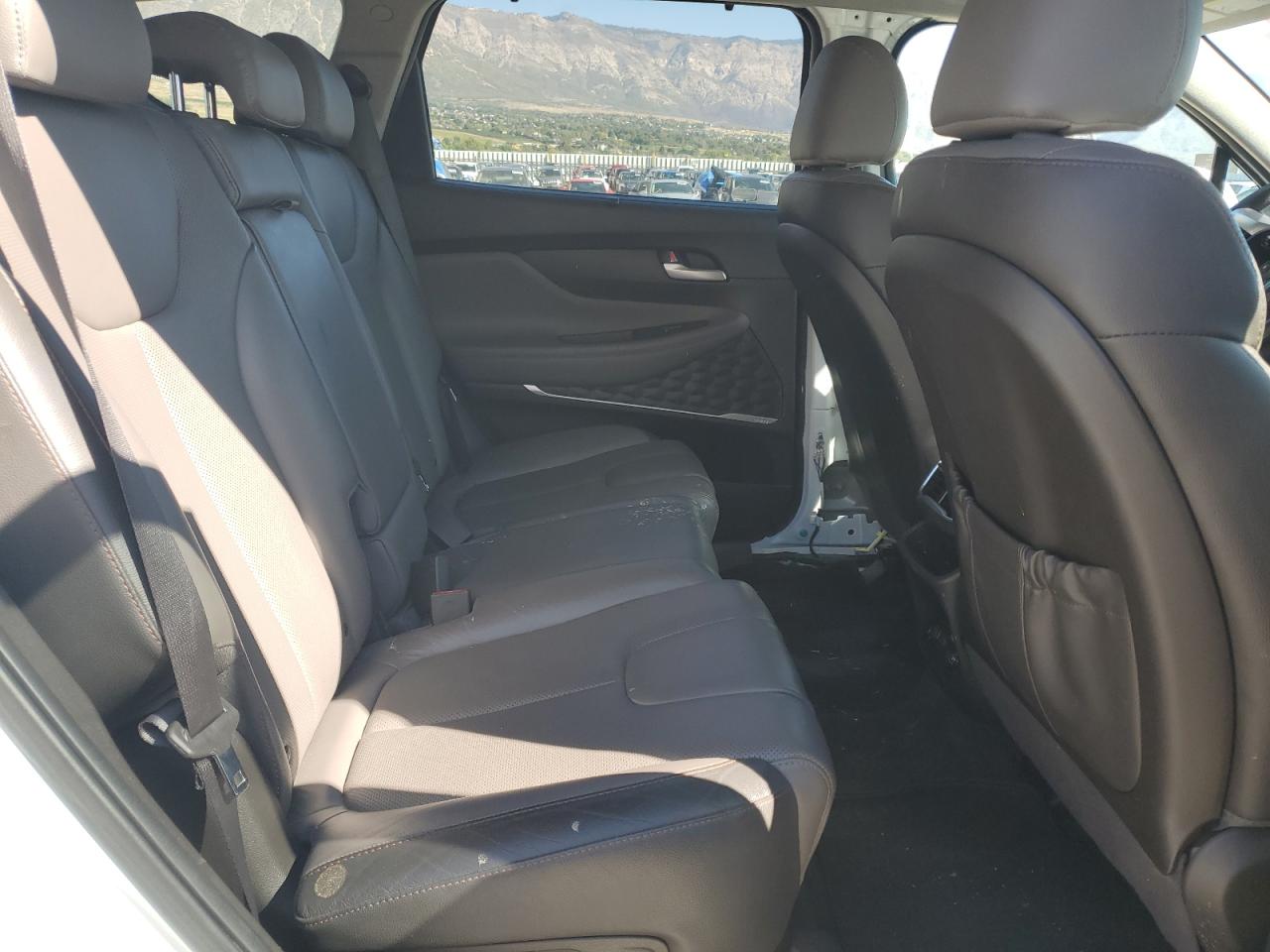 2020 Hyundai Santa Fe Sel VIN: 5NMS3CAD5LH303105 Lot: 85740335