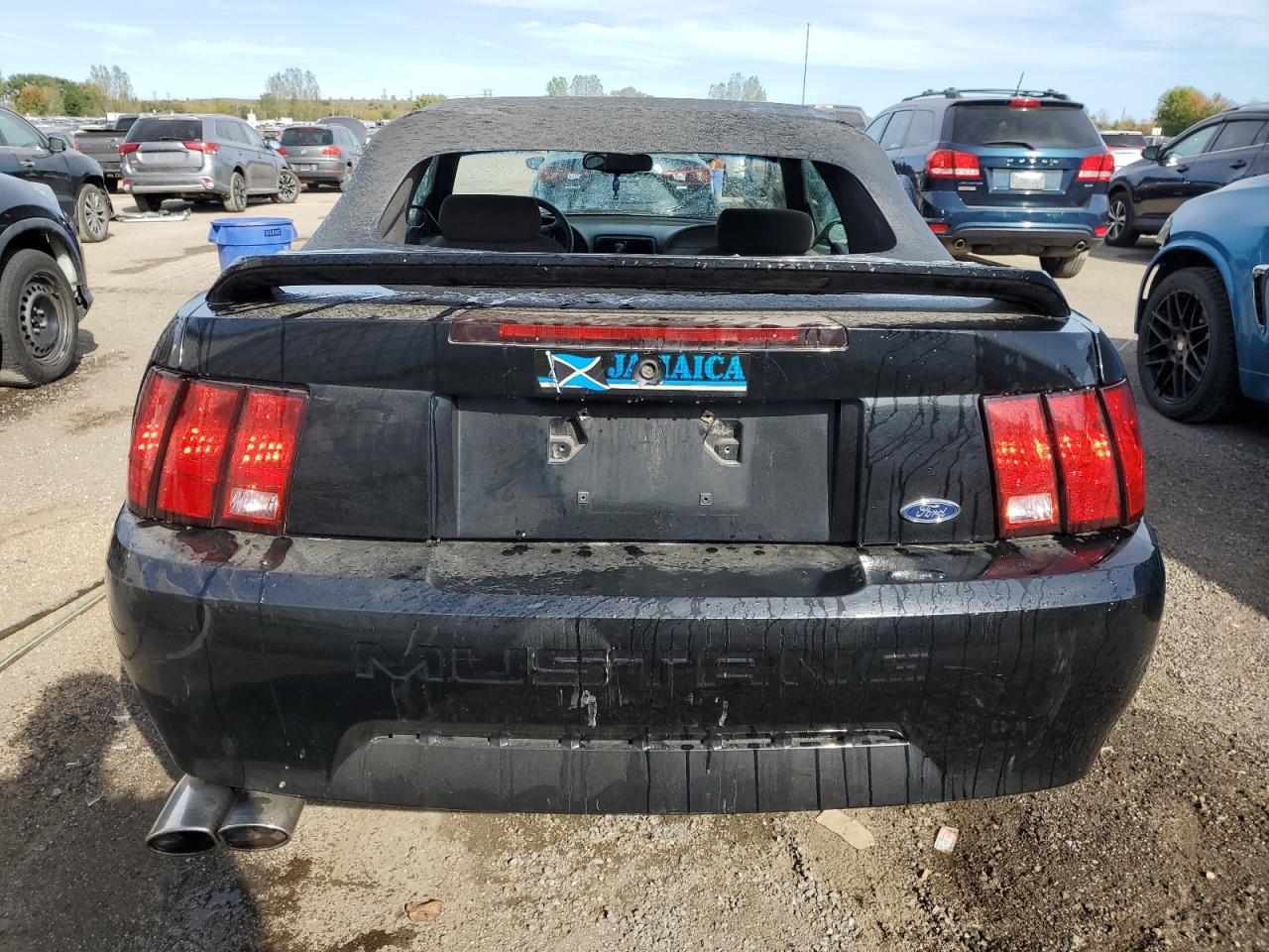 2000 Ford Mustang VIN: 1FAFP4441YF213628 Lot: 81246005