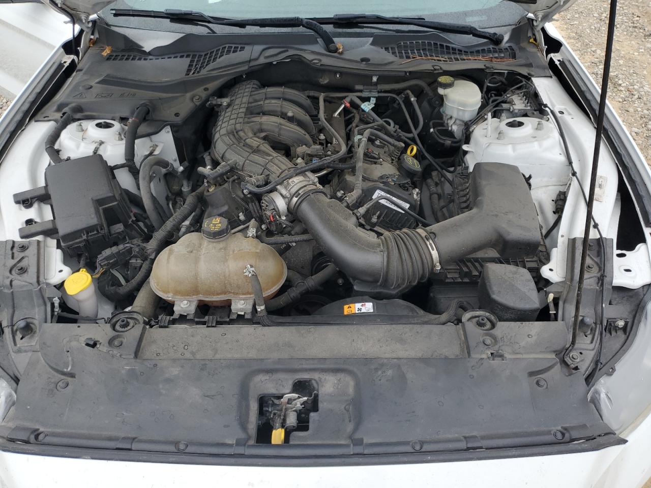 2015 Ford Mustang VIN: 1FA6P8AM7F5315272 Lot: 84479565