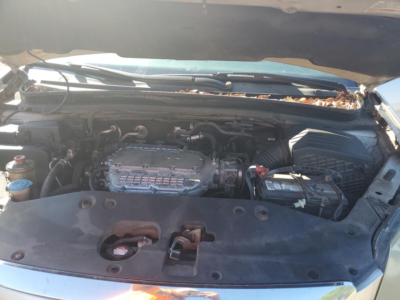 2006 Honda Odyssey Touring VIN: 5FNRL38866B123922 Lot: 82185285