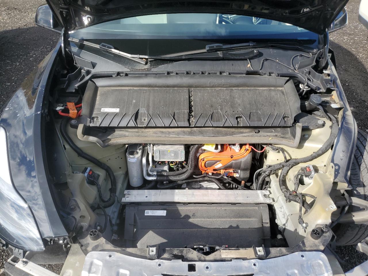 2024 Tesla Model Y VIN: 7SAYGAEE3RF011102 Lot: 82683615