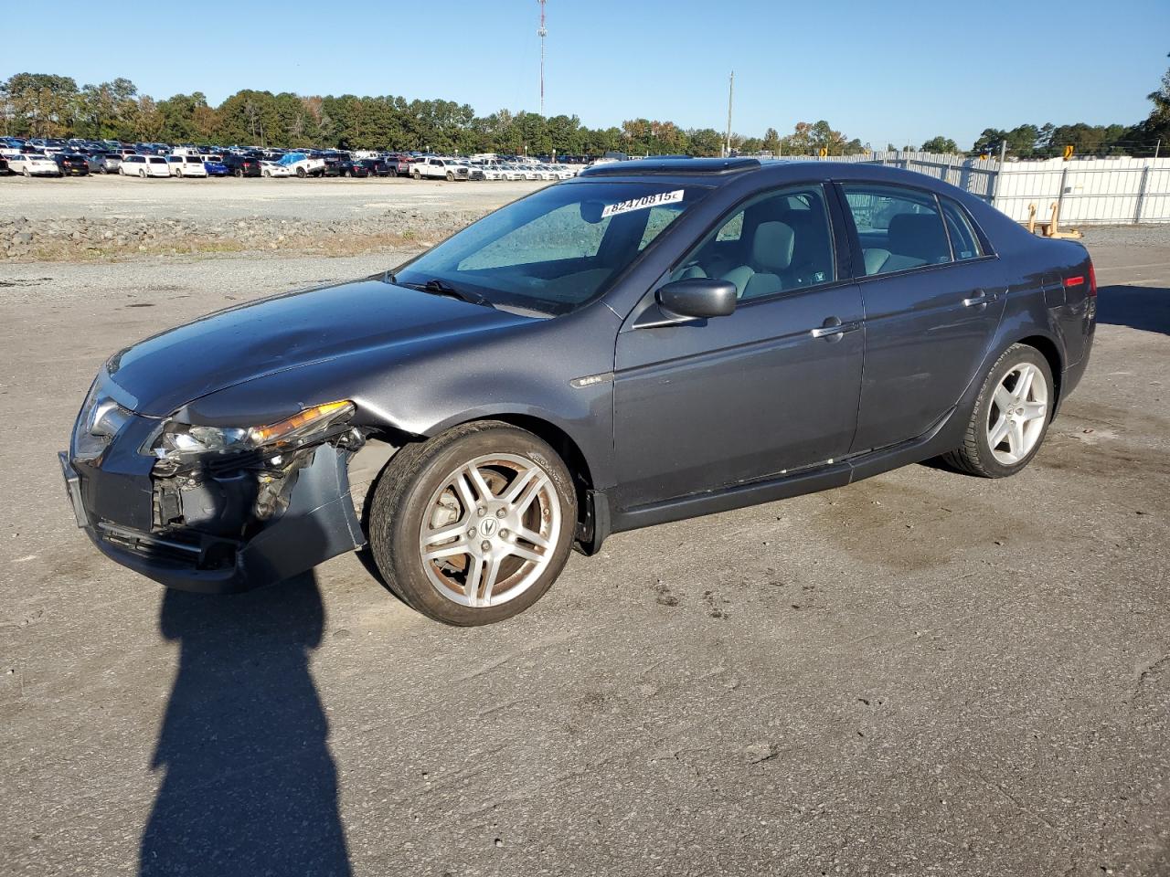 2006 Acura 3.2Tl grey null gas 19UUA66296A023551 photo #1