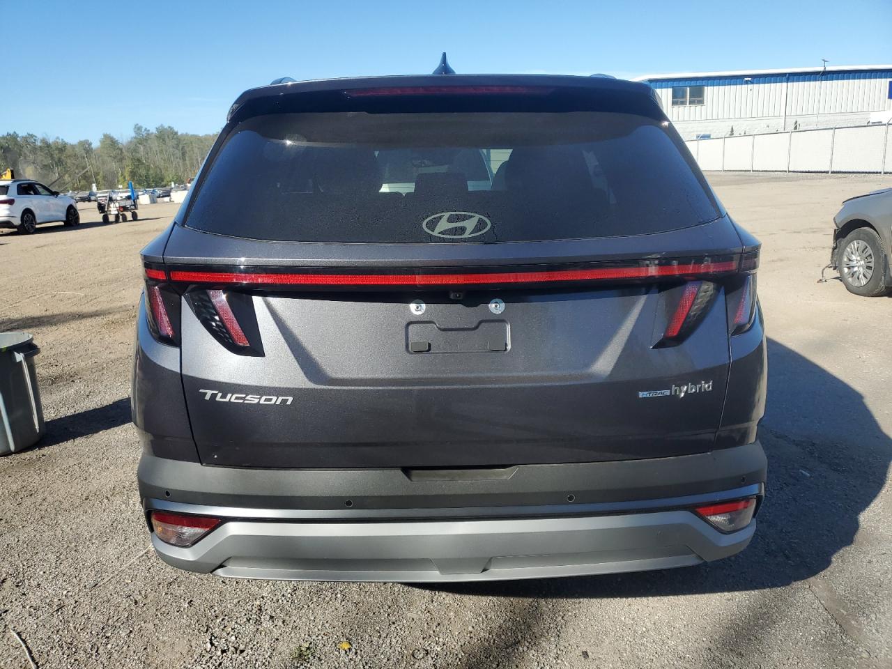 2025 Hyundai Tucson Sel Convenience VIN: KM8JCDD10SU362486 Lot: 84428785