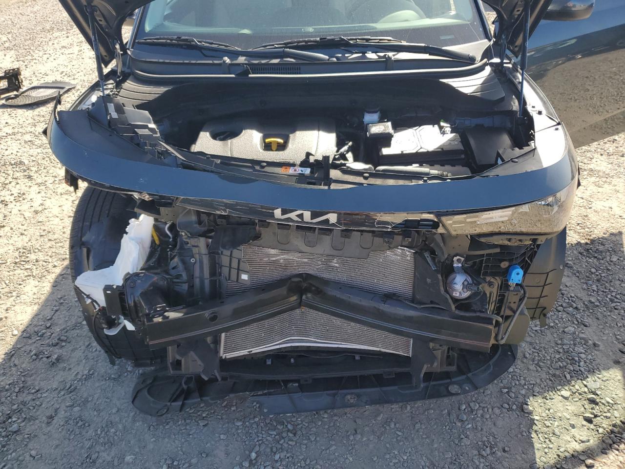 2023 Kia Soul Ex VIN: KNDJ33AU2P7206839 Lot: 81985045