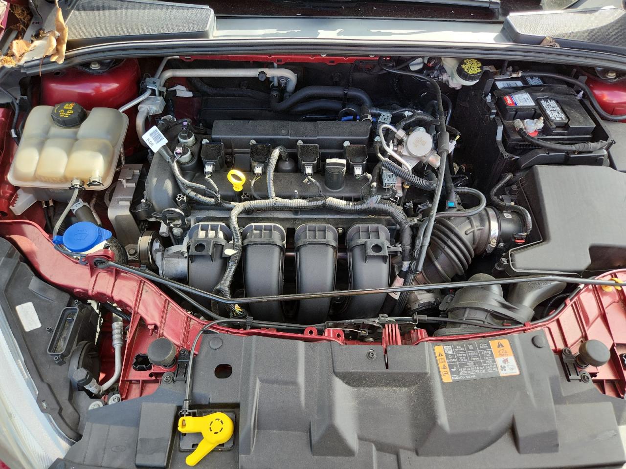 2016 Ford Focus Se VIN: 1FADP3K23GL355501 Lot: 82262275