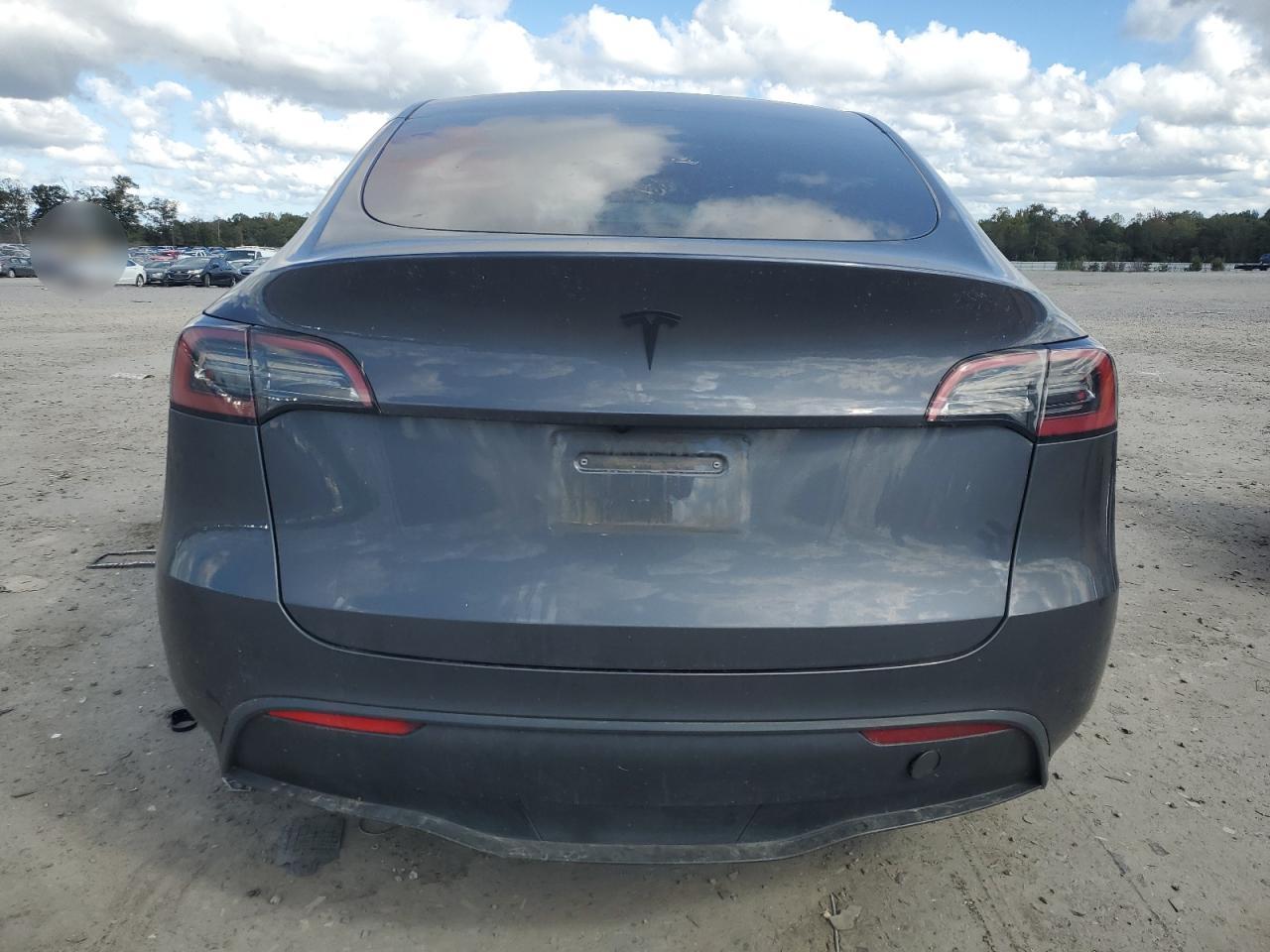 2023 Tesla Model Y VIN: 7SAYGDEE0PF842135 Lot: 84906025