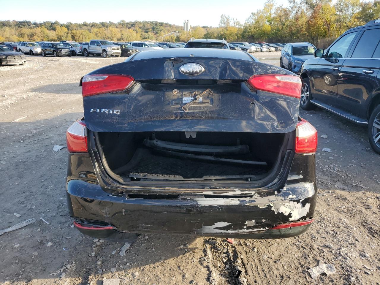 2014 Kia Forte Lx VIN: KNAFK4A60E5063198 Lot: 90986395