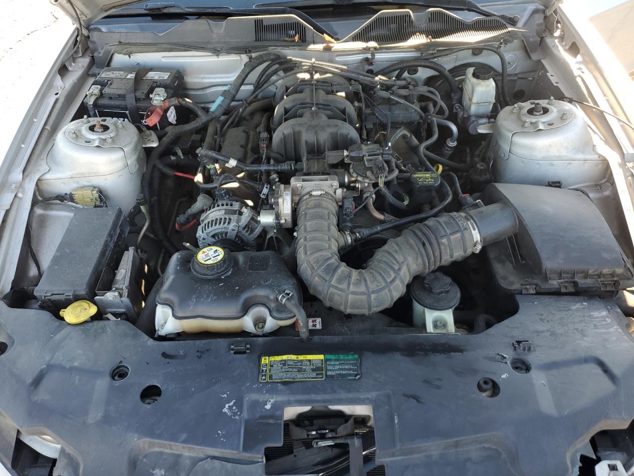 2010 Ford Mustang VIN: 1ZVBP8AN6A5135675 Lot: 82609505