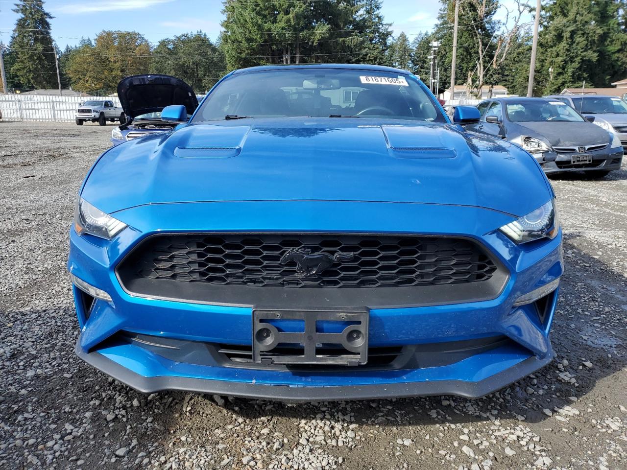 2019 Ford Mustang VIN: 1FA6P8TH6K5197872 Lot: 81871605