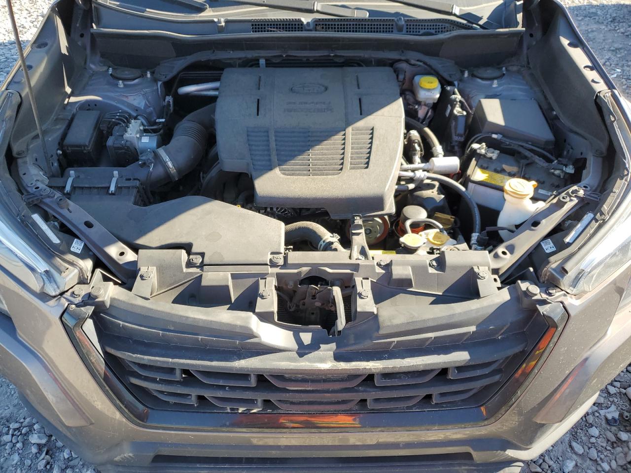 2023 Subaru Forester Limited VIN: JF2SKAPC1PH479941 Lot: 82393785