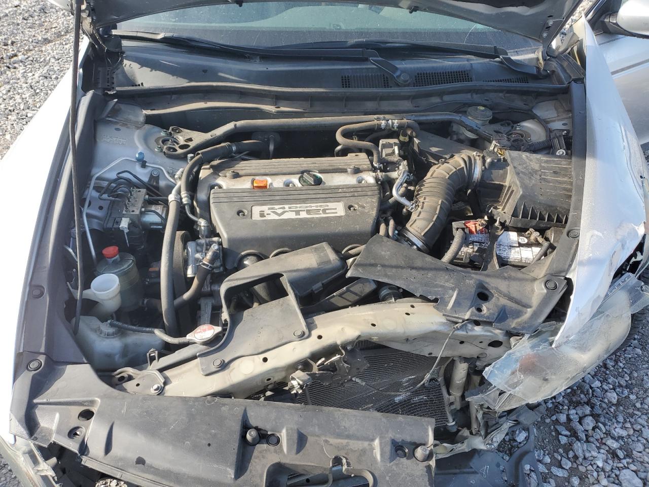 2009 Honda Accord Exl VIN: 1HGCP26829A113491 Lot: 82699665