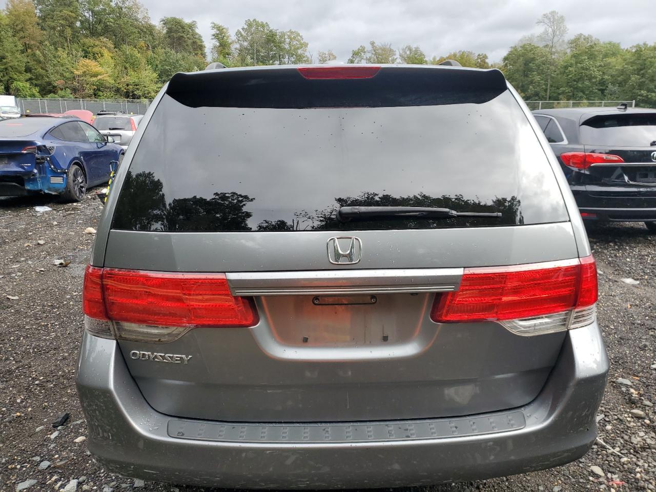 2009 Honda Odyssey Exl VIN: 5FNRL386X9B404835 Lot: 82290775