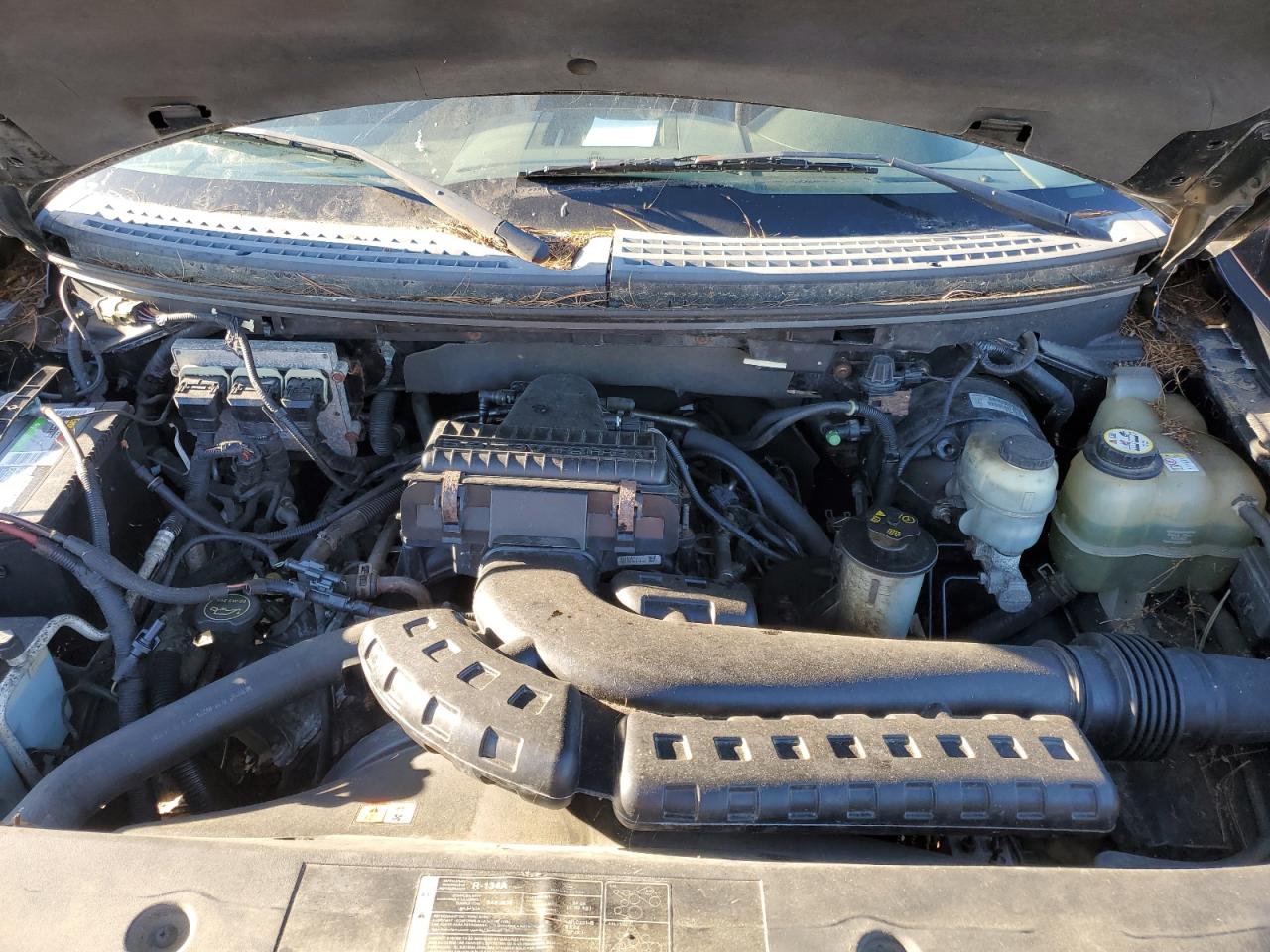2005 Ford F150 VIN: 1FTPX14535NB76816 Lot: 87099825