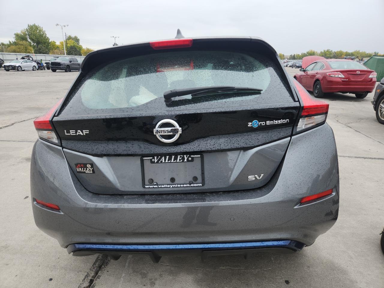 2020 Nissan Leaf Sv VIN: 1N4AZ1CP4LC303848 Lot: 93416845