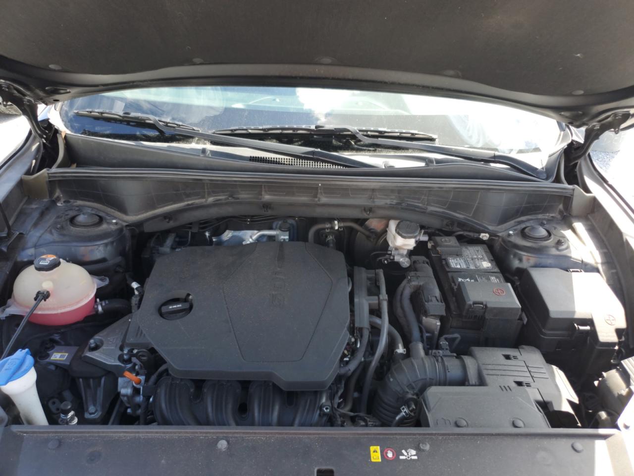 2022 Kia Sorento Lx VIN: 5XYRG4LC0NG092552 Lot: 85664325