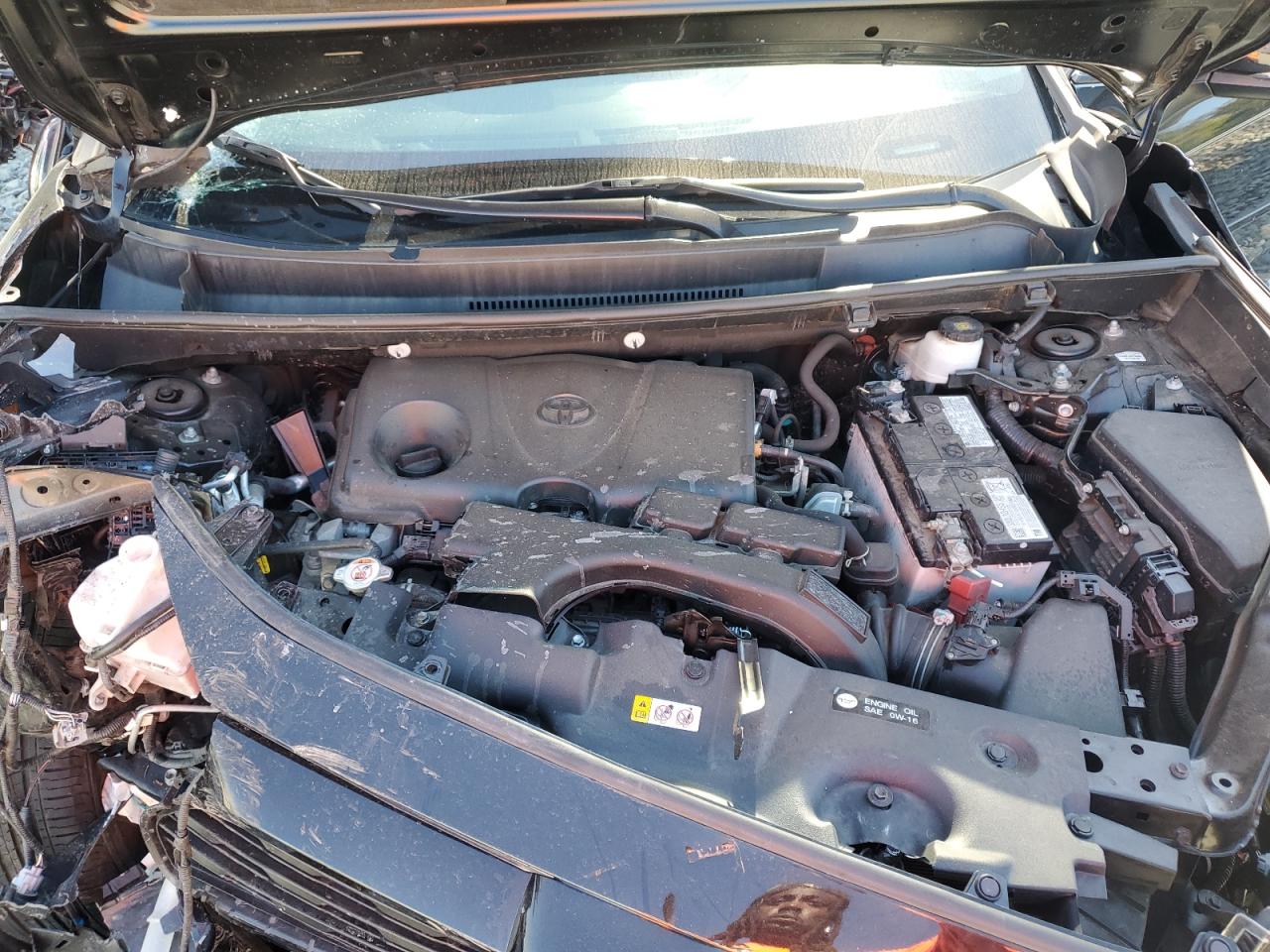 2021 Toyota Rav4 Xle VIN: 2T3P1RFV3MC254260 Lot: 85128965