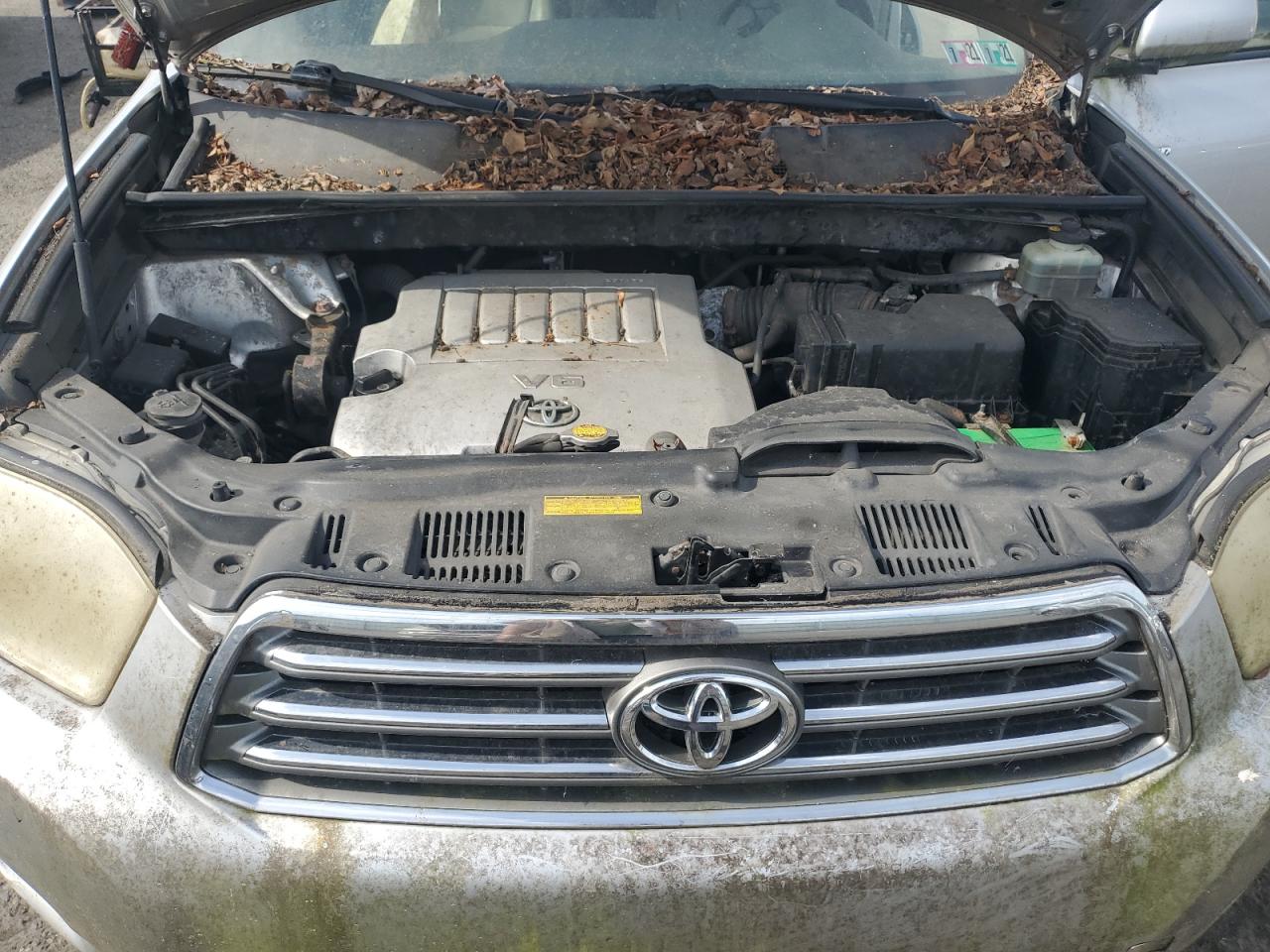 2008 Toyota Highlander Limited VIN: JTEES42A282079907 Lot: 81959915