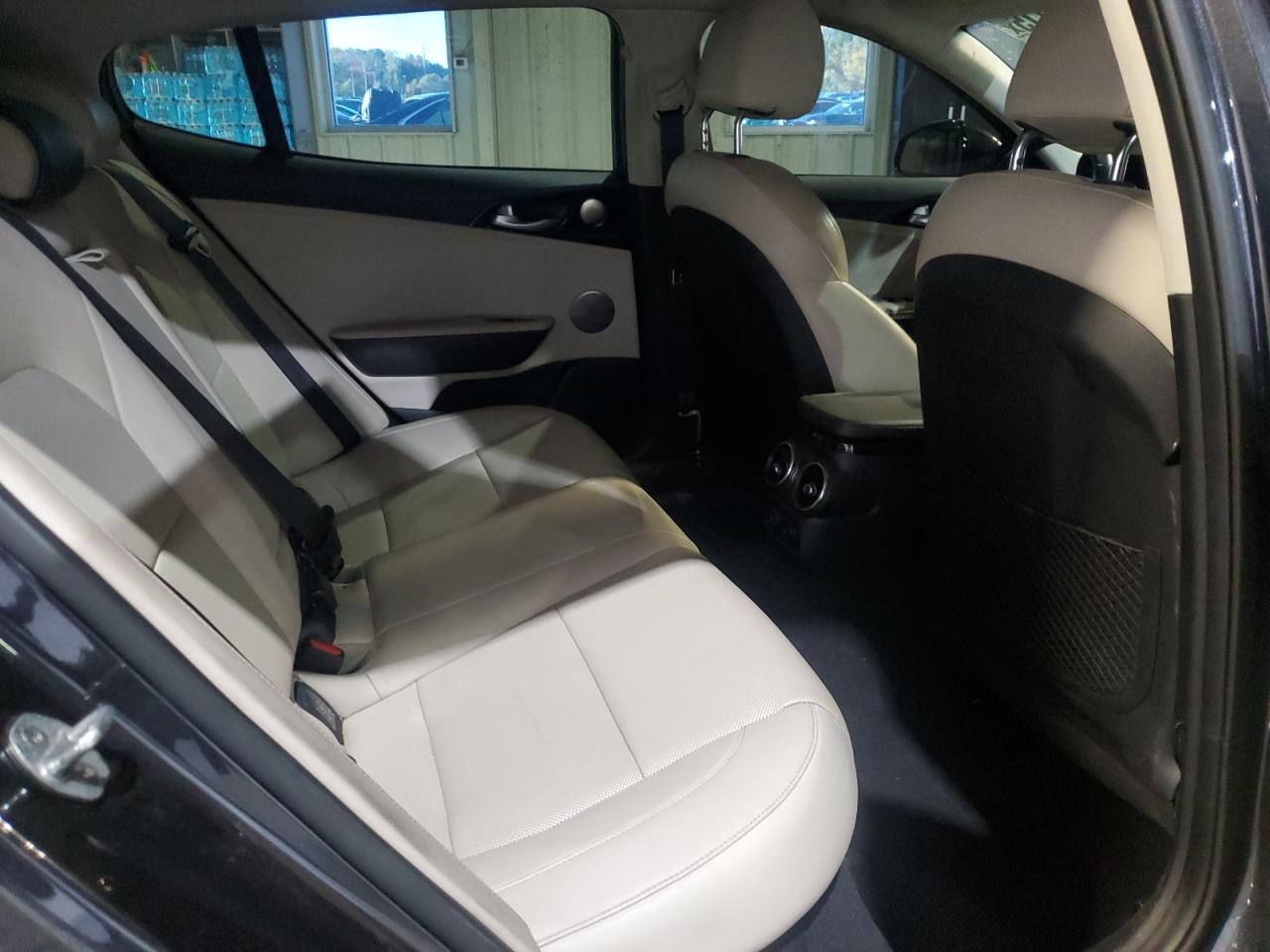 2019 Kia Stinger Premium VIN: KNAE25LA6K6058077 Lot: 87079715