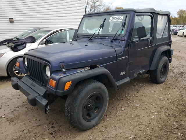 1999 Jeep Wrangler / Tj Se