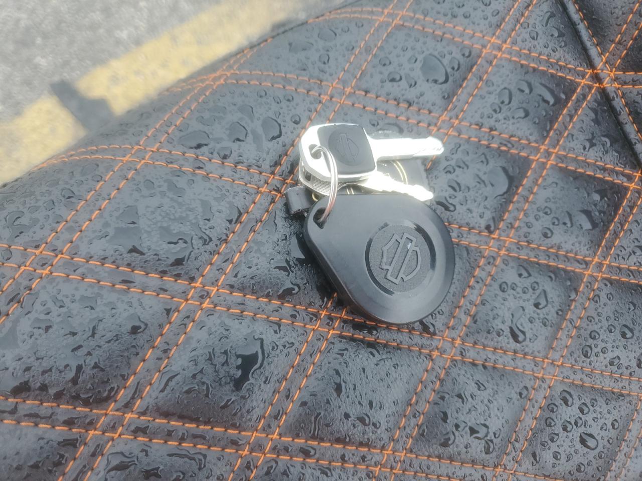 2023 Harley-Davidson Fxbbs VIN: 1HD1YYK16PB050187 Lot: 90214215