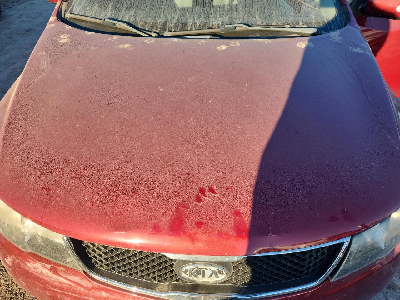 2010 Kia Forte Ex VIN: KNAFU4A22A5813766 Lot: 87236285