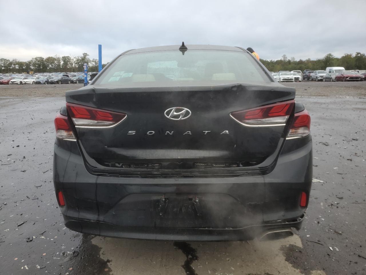 2019 Hyundai Sonata Limited VIN: 5NPE34AFXKH803086 Lot: 86451065