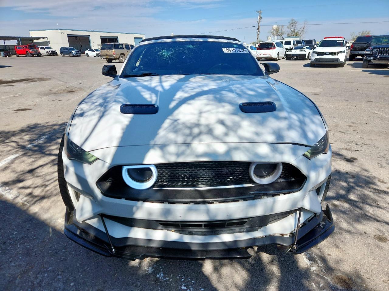 2019 Ford Mustang VIN: 1FATP8UH5K5151421 Lot: 86187845