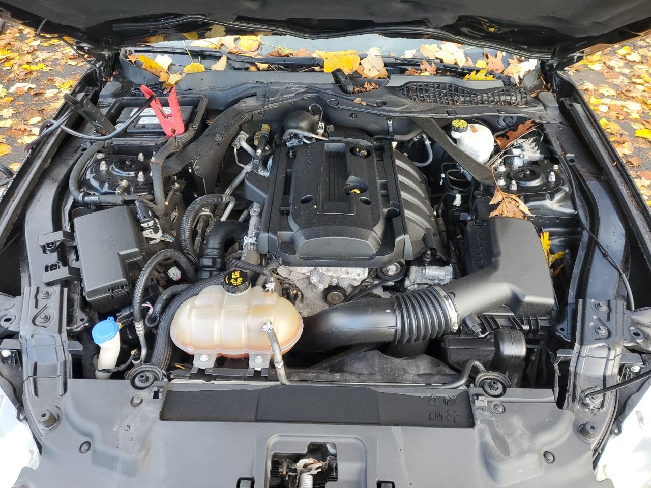 2020 Ford Mustang VIN: 1FATP8UH0L5112172 Lot: 87468315