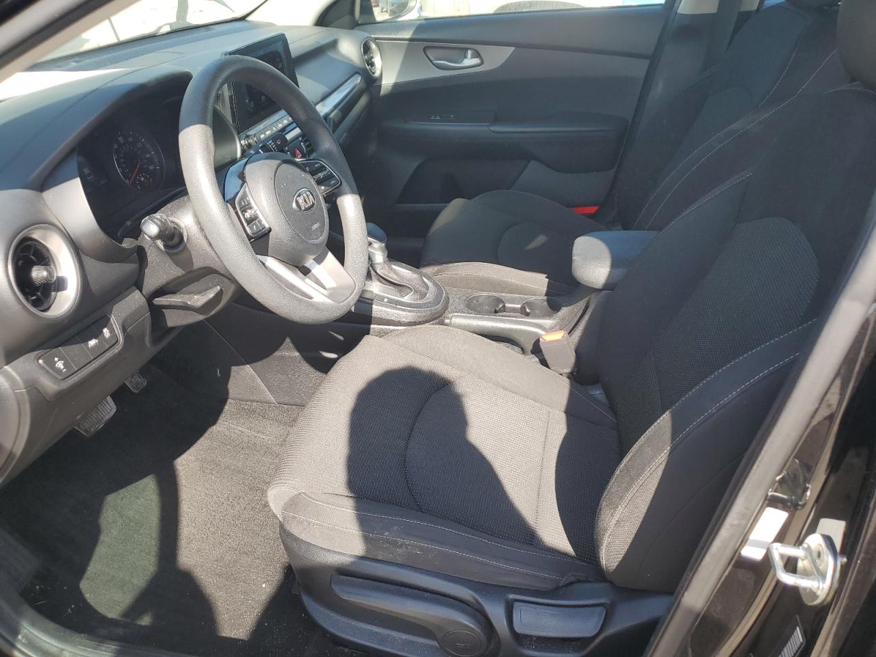 2019 Kia Forte Fe VIN: 3KPF24ADXKE007965 Lot: 85933655