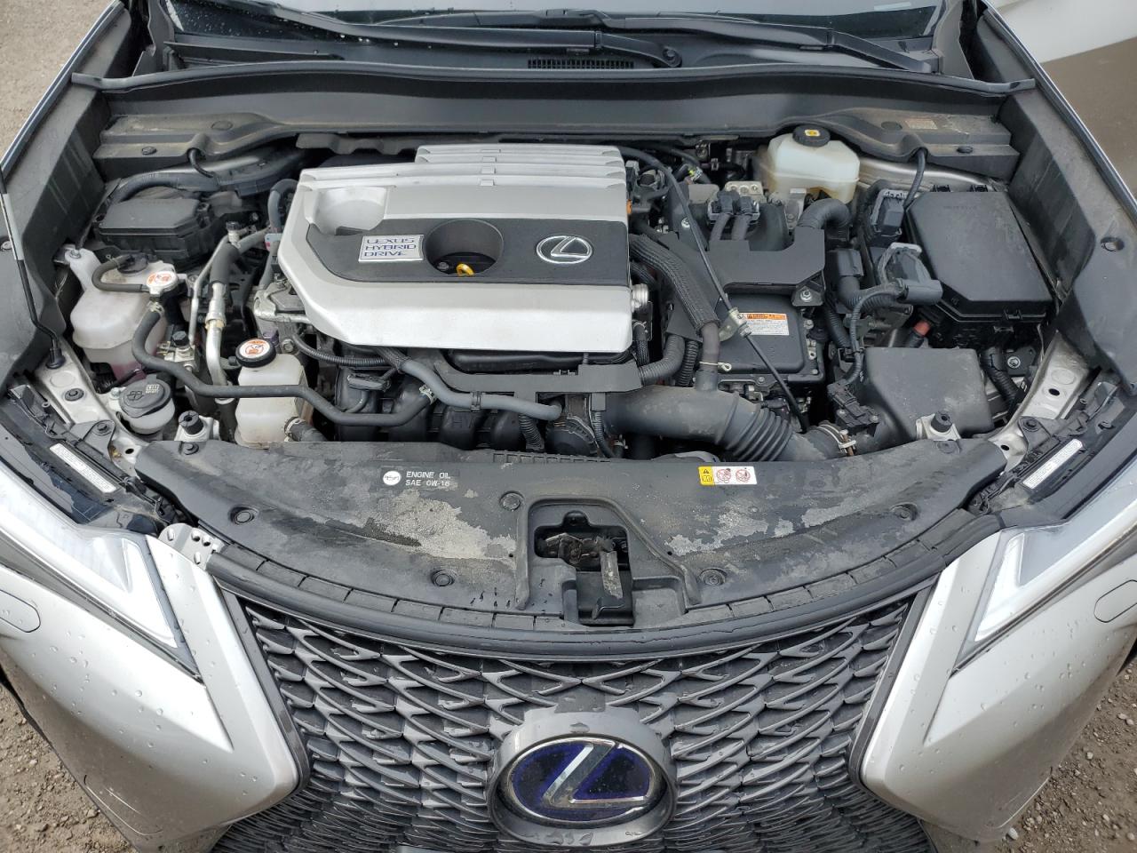 2021 Lexus Ux 250H VIN: JTHR9JBH5M2041383 Lot: 84017265