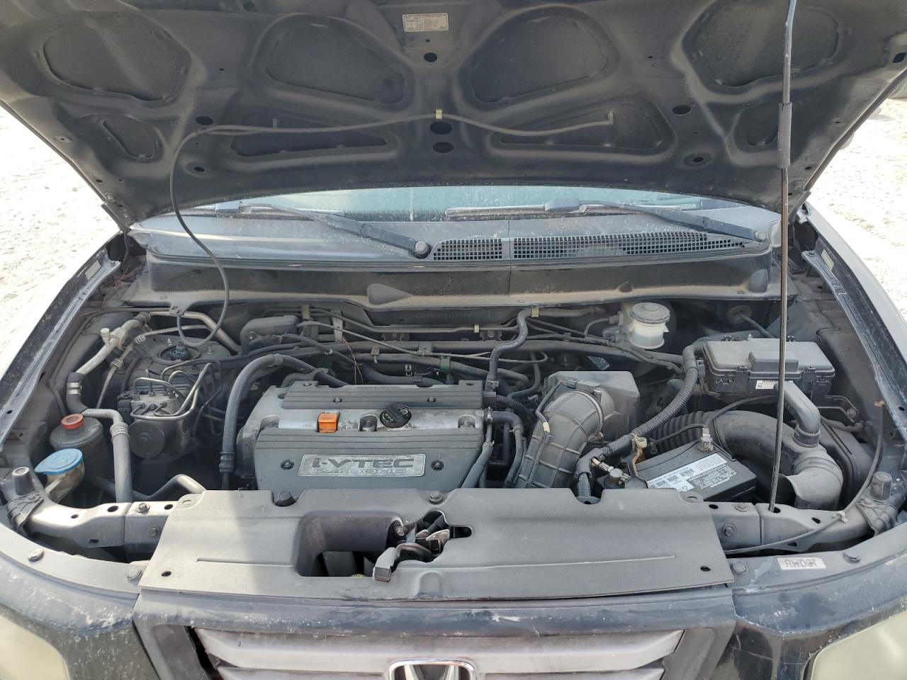 2007 Honda Element Ex VIN: 5J6YH18767L010571 Lot: 90070915